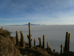 Blick von der Isla Incahuasi auf den Salar de Uyuni.