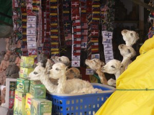 "Ohhhhh Plüschlamas! wie süüüüß!" Von wegen!