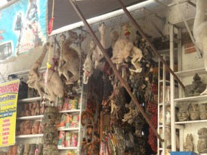 da hängen sie noch! doch schon morgen könnten sie der Pachamama geopfert oder unter einer Türschwelle vergraben werden. Na ja, jetzt auch egal...