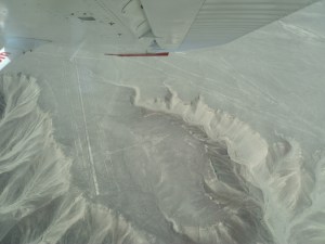 Und hier der Kolibri!