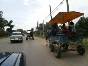 Pferdekutschen-Taxitaxi